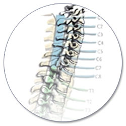 Lumbar Spine Injury L1-L5