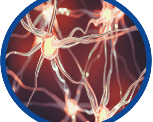 Nerve pain a close up picture of nerves