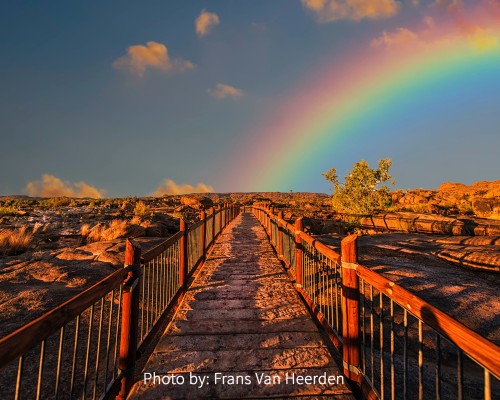 A rainbow appears at the end of a path. A rainbow appears at the end of a path.
