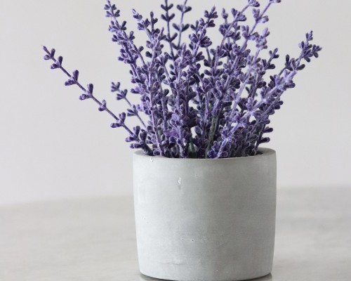 A vase of lavender.