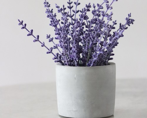 A vase of lavender. A vase of lavender.