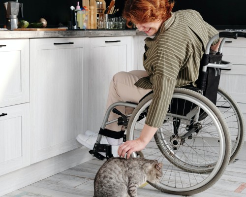 A woman in a wheelchair displays affection with her cat.