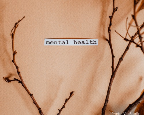 A peach background with a twig and the words mental health on a small peice of paper.