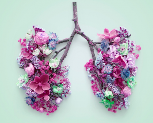 sticks and flowers shaped to form lungs