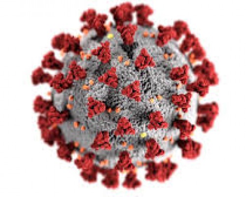 corona virus image