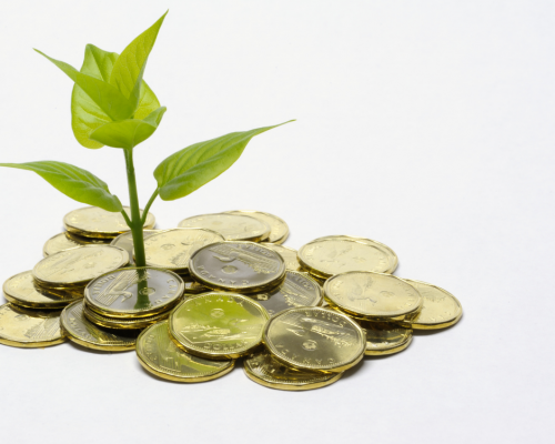 A plant growing out of a pile of Canadian loonies